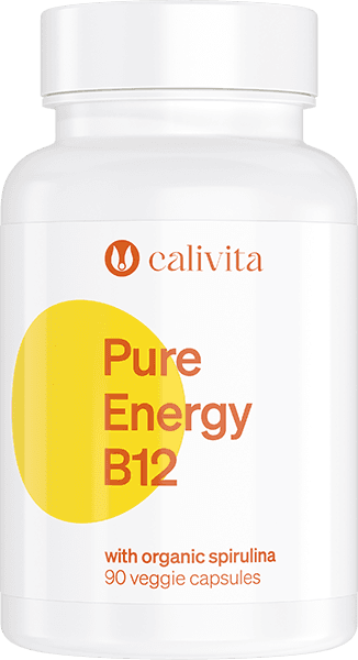 Pure Energy B12